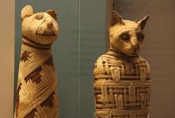 Ученые нашли мумию с пятью ногами