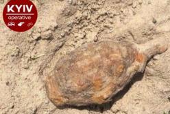 В Киеве на детской площадке нашли гранату (фото)