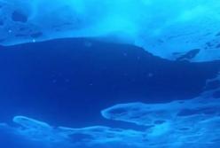 В загадочном озере подо льдом толщиной 4 км обнаружили уникальную находку