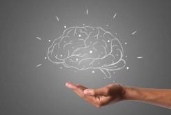 Медики назвали три продукта для улучшения работы мозга