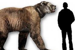 В Антарктиде нашли останки доисторического медведя, жившего 100 тысяч лет назад (фото)
