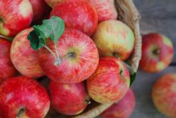 Употребление этого фрукта снизит риск инсульта: вывод ученых