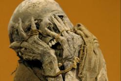 Под Николаевом в подвале дома обнаружен мумифицированный труп мужчины