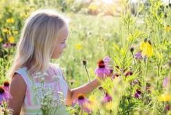 Прогноз погоды на 13 июня: невероятная жара, местами грозы