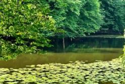 Україну накриє спека: прогнозують до +37 градусів, місцями пройдуть грози