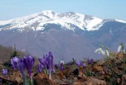 ​В Карпатском регионе от -9 °С до +11 °С