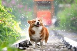 Прогноз погоды на 19 ноября: дождь и местами мокрый снег