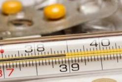 В Украине за неделю от гриппа умерли десять человек