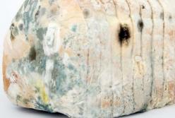 Медики назвали последствия употребления заплесневелых продуктов для здоровья