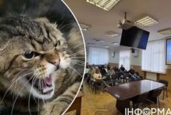 У Києві зафіксовано випадок сказу: влада запроваджує термінові заходи безпеки
