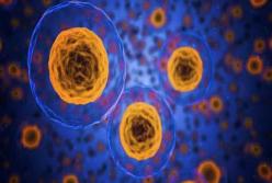 Ученые определили факторы развития онкологии