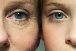 Ученые приблизились к разгадке секрета "вечной молодости"