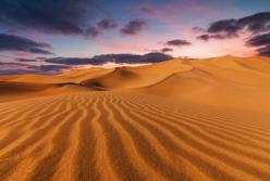 Пустыня Сахара превратится в зеленый оазис – прогноз ученых