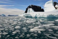 В Антарктиде зафиксировали новый температурный рекорд