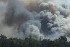 Пожар в Чернобыльской зоне: уровень радиации превысил норму (видео)