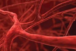 Врачи назвали лучшие способы сохранить сосуды здоровыми 