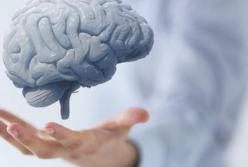 Ученые узнали, как победить старение мозга
