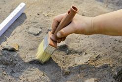 Археологи раскрыли секрет имбирного пива 19 века