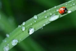 Прогноз погоды на 23 мая: солнце и дожди