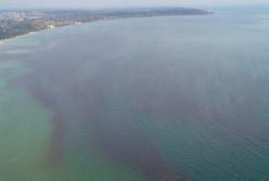В Одессе "покраснело" море