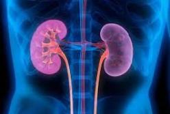 Медики назвали ранние симптомы заболеваний почек