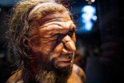 Опровергнут популярный миф о вымирании неандертальцев