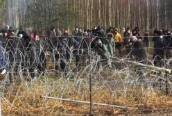 Польша из-за мигрантов пригрозила закрыть границу с Беларусью