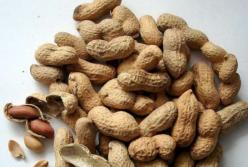 Медики назвали орех, который продлевает жизнь