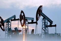 В ООН прогнозируют снижение цен на нефть