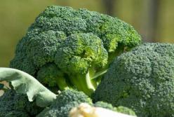 Медики рассказали о полезных свойствах брокколи