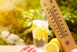 Названы продукты, заряжающие энергией во время жары