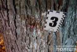 Стали известны подробности ночного взрыва в Киеве (видео)