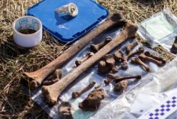 Под Львовом нашли артефакты времен Римской империи