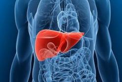 Эксперты назвали способы быстрой очистки печени