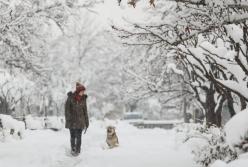 Погодные качели: синоптики ошеломили прогнозом погоды