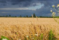 Голосование за рынок земли протянули: второго чтения может просто не быть