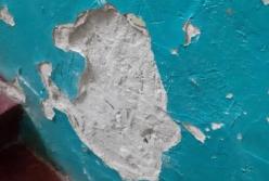 В Сети показали шокирующие фото детской больницы в Харькове