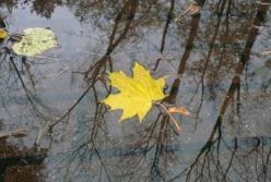 В Украину пришла метеорологическая осень