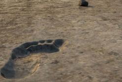 Раскрыта тайна следа "таинственного наблюдателя" древней катастрофы (фото)