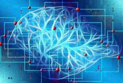 Медики назвали основные факторы, которые ухудшают память