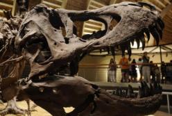 Ученые установили окончательную причину вымирания динозавров