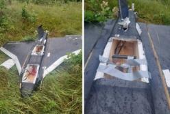 У Литві впав дрон, який залетів з Білорусі (фото)