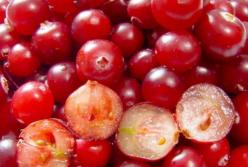 Медики рассказали о пользе клюквы для здоровья