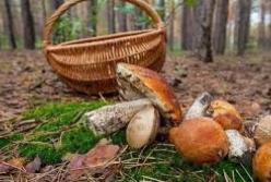 Из-за отравления грибами 18-летний парень оказался в реанимации