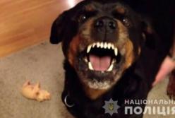 Под Киевом ротвейлер во время прогулки загрыз прохожего
