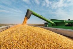 Зеленский подписал закон о снижение НДС для аграриев