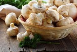 Названы целебные свойства шампиньонов