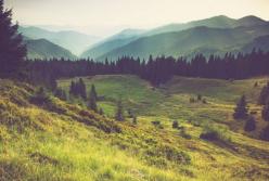 Зміни клімату в Україні: еколог попередив про катастрофічні наслідки 