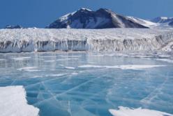 В Арктике нашли кофе, которому более 100 лет