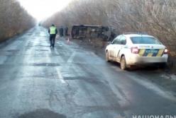 На Житомирщине маршрутка с пассажирами слетела в кювет (фото)